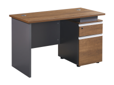 Modern Minimalist Single Staff Desk